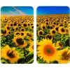 Wenko Herdabdeckplatten Universal Sonnenblumenfeld 2er Set Mehrfarbig -Küchenwerkzeug – los geht’s! 4008838229071 1068 01